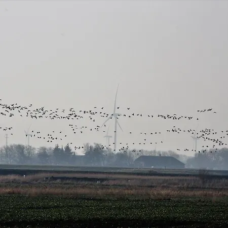 Hostel Rudbol Rudbol